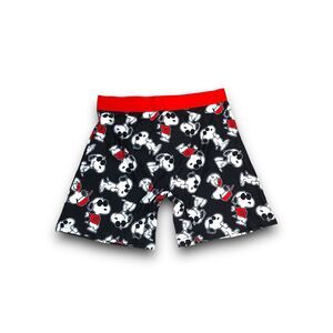 Peanuts Snoopy Men's Boxer Brief - XL